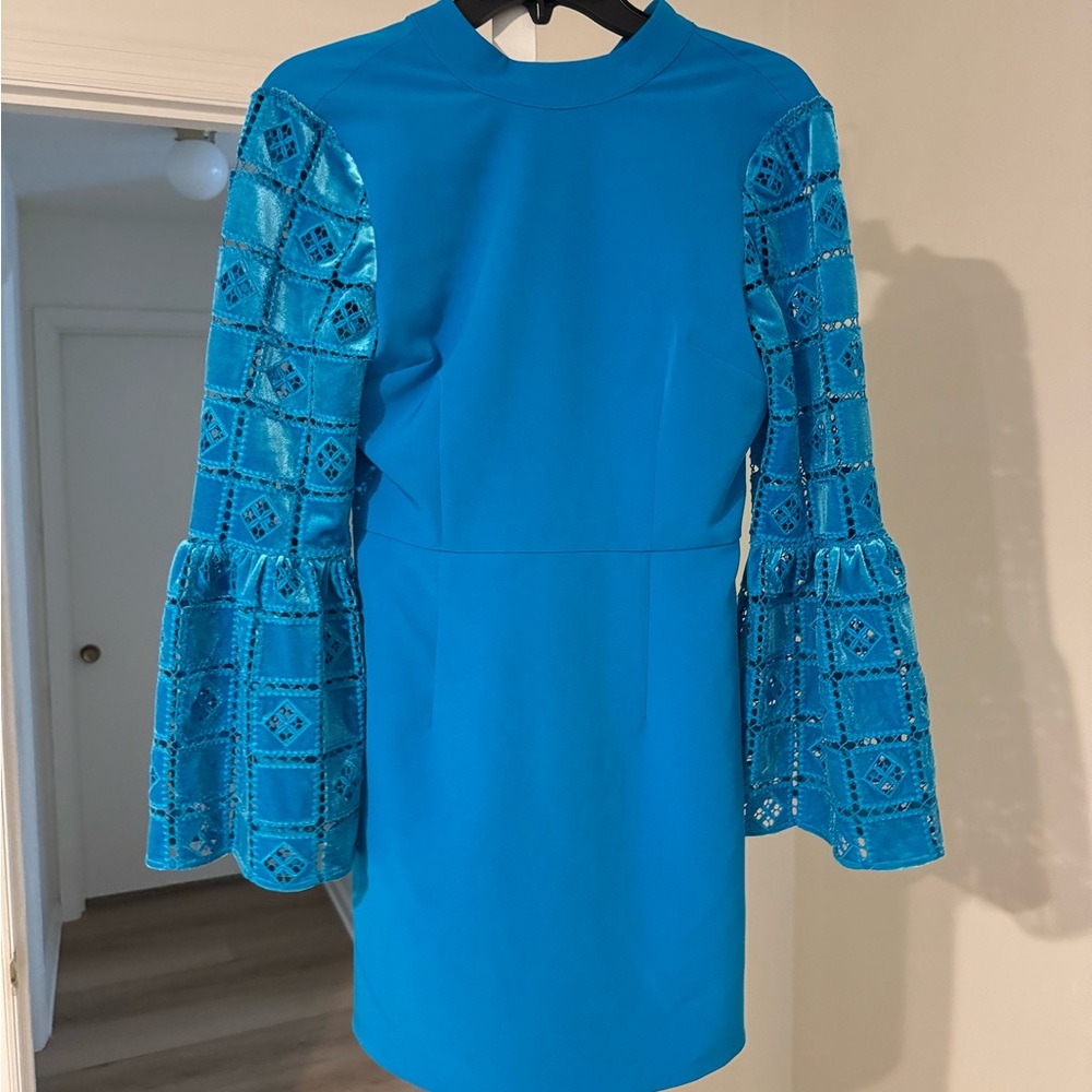 French Connection Garnet Velvet Lace Mini Dress
